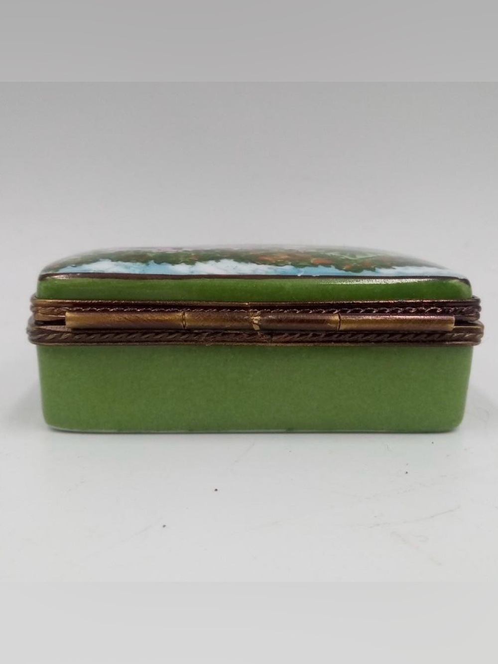 Limoges trinket box- vintage
Chicago botanical gardens - Picture 7 of 9